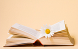 short story search - flower book