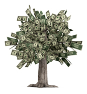 money quotes - money tree