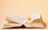 short story search - flower book