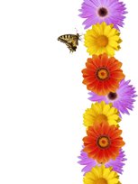 work attitude - flowers and butterfly