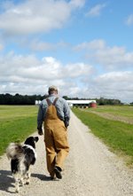 happiness is pets - man and faithful dog